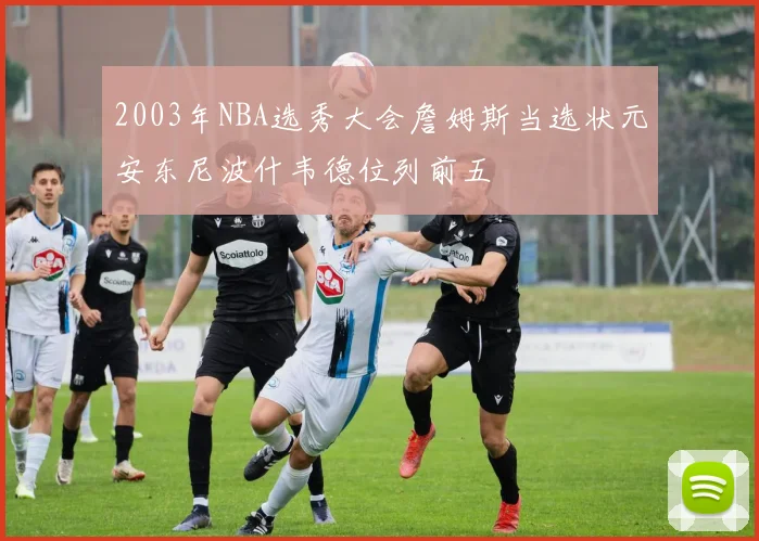 2003年NBA选秀大会詹姆斯当选状元安东尼波什韦德位列前五