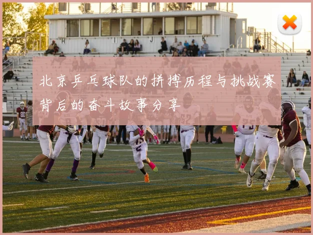 北京乒乓球队的拼搏历程与挑战赛背后的奋斗故事分享