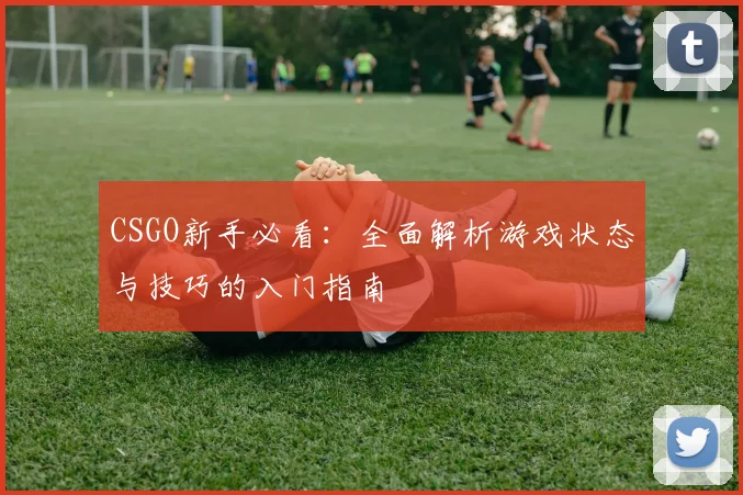 CSGO新手必看：全面解析游戏状态与技巧的入门指南